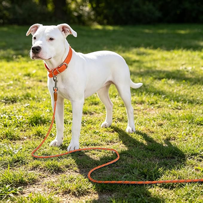 lynxking Long Dog Leash Reflective 15FT 30FT 50FT Check Cord Dog Training Leash Padded Handle Heavy Duty Puppy Rope for Small Medium Large Dog