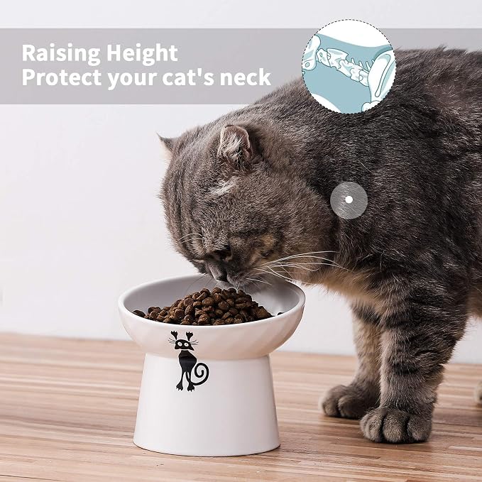 Ceramic Tilted Raised Cat Bowls, Elevated Cat Food and Water Bowl Set | Prevent Neck, Anti Vomit, Dish for Cats and Small Dogs, Dishwasher and Microwave Safe - White, Set of 2
