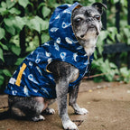 Lucy & Co. Reversible Raincoat for Dogs & Pets - Dog Raincoat - Fashionable and Comfy Water Resistant Adjustable Poncho for Canines. Multiple to fit All Types of Dog Breeds