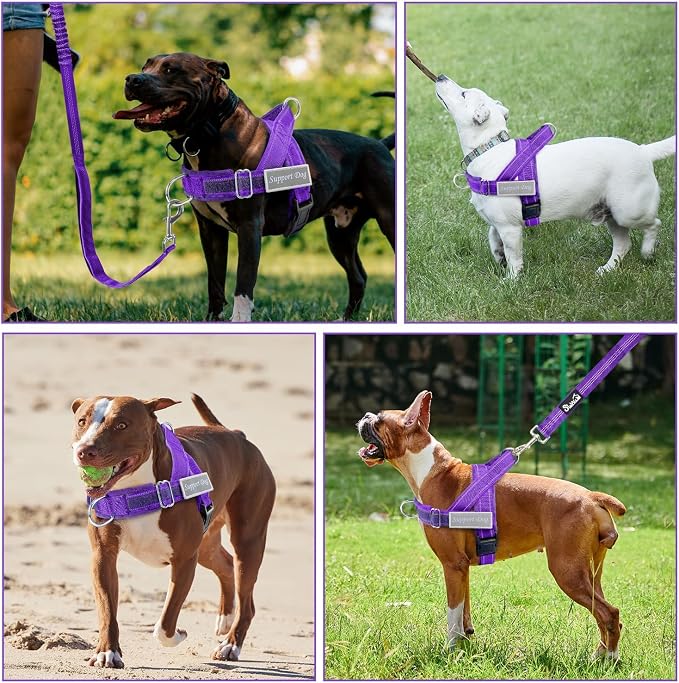 SlowTon No Pull Dog Harness - Heavy Duty Dog Harness and Leash Set for Medium Large Dogs, Reflective Tactical Harness with Soft Padded and Front Clip for Easy Walk and Training (Purple, L)