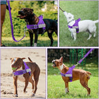 SlowTon No Pull Dog Harness - Heavy Duty Dog Harness and Leash Set for Medium Large Dogs, Reflective Tactical Harness with Soft Padded and Front Clip for Easy Walk and Training (Purple, L)