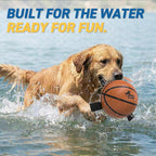 QDAN Dog Basketball Toys, Dog Balls with Straps for Tug of War, 6 Inch | Dog Water Toy Pool Toys for Small Medium Dogs, <60 lbs Puppy Toys, Training Herding Balls for Outdoor, Puppy Birthday Gifts
