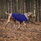 Lelepet Dog Coat Waterproof Dog Jacket Fleece Vest with Adjustable Buckle | Reflective Pet Winter Coat Turtleneck Snowsuit Windproof Cold Weather Coats for Small Medium Large Dogs,Leash Hole,Blue, S
