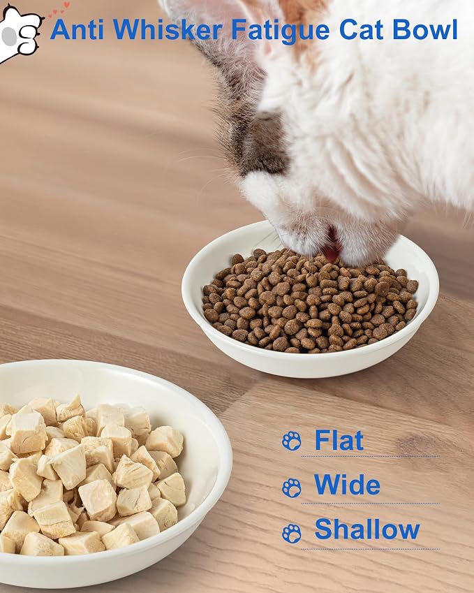Ceramic Cat Bowl Whisker Friendly, Non-Slip Cat Food Bowls 6-Pack | Whisker Fatigue Cat Dishes, Shallow Wide Cat Plate, Lead-Free, Silicone Base, Microwave Dishwasher Safe, Wet Dry Food Water