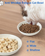 Ceramic Cat Bowl Whisker Friendly, Non-Slip Cat Food Bowls 6-Pack | Whisker Fatigue Cat Dishes, Shallow Wide Cat Plate, Lead-Free, Silicone Base, Microwave Dishwasher Safe, Wet Dry Food Water