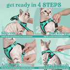 rabbitgoo Cat Harness and Leash Set, Escape Proof Vest, Emerald | Soft Breathable Mesh, Easy Adjustable Fit, Snap Buckles, Sturdy Clip, Reflective Strips, for Small & Average Cats Walks, Xs