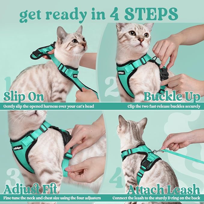 rabbitgoo Cat Harness and Leash Set, Escape Proof Vest, Emerald | Soft Breathable Mesh, Easy Adjustable Fit, Snap Buckles, Sturdy Clip, Reflective Strips, for Small & Average Cats Walks, Xs