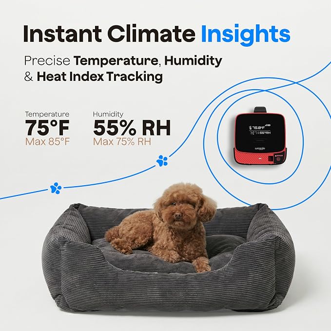 Waggle RV Pet Temperature Monitor with RVSentry Geofence Alert, 4G Cellular, No WiFi Required, Real-Time App Monitoring, Power Outage Alerts via SMS & Email, Subscription Required