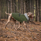 Lelepet Dog Coats for Medium Dogs Waterproof Dog Jacket with Adjustable Fit | Reflective Fleeve Vest Adjustable Hook & Loop Closure Cold Weather Coats for Small Medium Large Dogs,Leash Hole Army Green, M
