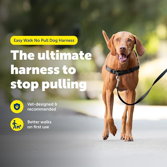 PetSafe Easy Walk Harness for Dogs - Pull-Free Walks - Patented Martingale Loop Design - Front Chest Leash Attachment - Comfort Straps - Breathable Harness Design - Medium, Black/Silver