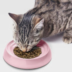 CatGuru Cat Bowls, Whisker Friendly Food Bowl for Indoor Cats, Reliefs Whisker Fatigue, Wide Kitten Dish, Non Slip Pet Dishes, Shallow Pet Plates (Pink, (Pack of 2))