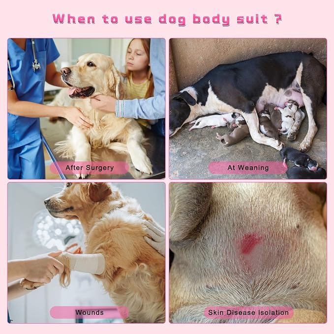 2 Packs Breathable Cotton Dog Recovery Suit for After Neuter Spay Abdominal Wounds Protector, Professional Anti-Licking Onesies for Male Female Pets Surgery Bandages, L Purple & Pink Stripes