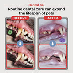JAYU PET Dental Gel Dog Cat Toothpaste, 2.8 Ounce | Removing Plaque and Tartar, Teeth Cleaning & Breath Freshener, Puppy Kitten Dental Care