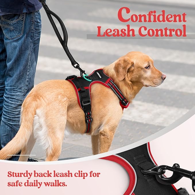 rabbitgoo Dog Harness, No Pull for Small Dogs with 2 Leash Clips, Pet Vest | No Choke with Handle, Adjustable Soft Padded, Reflective, Easy Control for Walking, Black & Red, Small
