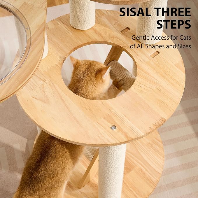 HITTITE Solid Wood Cat Tree Tower with Scratching Post, 61 Inches Tall Cat Towers with Capsule and Condo, Modern Cat Tower with Hammock and Removable Top Bed for Indoor Cats.White