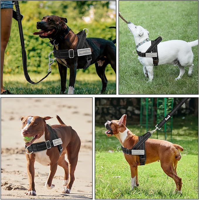 Lukovee No Pull Dog Harness and Leash Set - Adjustable Soft Padded Vest with Front Clip for Easy Control, Reflective Durable Harness for Safe Daily Training Walking for Medium Large Dogs (XL, Black)