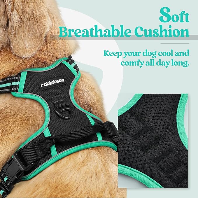 rabbitgoo Dog Harness, No Pull Medium Sized with 2 Leash Clips, Pet Vest | No Choke with Handle, Adjustable Soft Padded, Reflective, Easy Control for Walking, Black & Turquoise, Medium