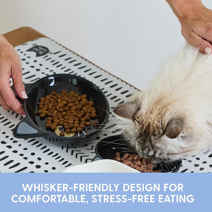The Cat Ladies Ceramic Cat Bowls - Whisker Friendly Food Bowl - Cute Pet, Kitten Plates - Dishes for Indoor Cats - Dish for Wet Food & Water - Platos para Gatos - Black Cat, Large