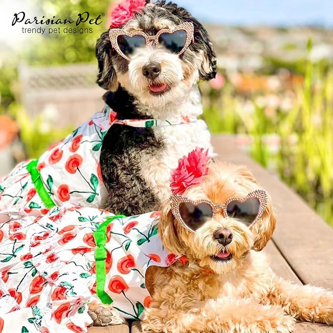 Parisian Pet Floral Dog Dress - Summer Cotton Clothes for Small Dogs Girl - Red Poppies Pet Dress - Stylish Boho Dog Beach Outfit - Adjustable Puppy Clothes - Lightweight Dresses for Dogs