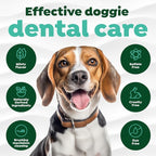 TropiClean Fresh Breath Dog Oral Care Kit | Complete Toothbrush and Toothpaste Set for Plaque & Tartar Control | Tooth Brushing Kit for Large Animals