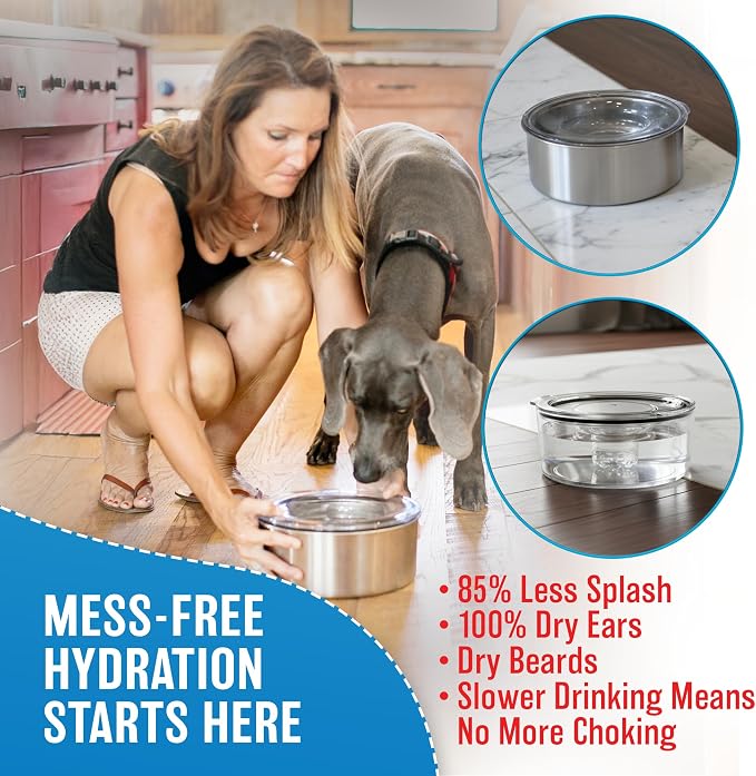 Stainless Steel Dripless Water Bowl with Tritan Plastic Lid – Holds 1 Gal, Reduces Spills & Trails Up to 85%+, Water Bowl for Large Breed Dogs (51-85 lbs), The Original Slobber Stopper
