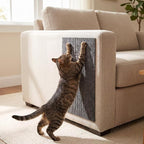 35 Pcs Interactive Cat Toys for Indoor Cats, S-Shaped Kitten Play Tube Toy | Collapsible & Space-Saving Cat Tunnel, Cat Wobble Toy, Cat Scratching Pad, Boosts Mental & Physical Health, Gift Box for Cat
