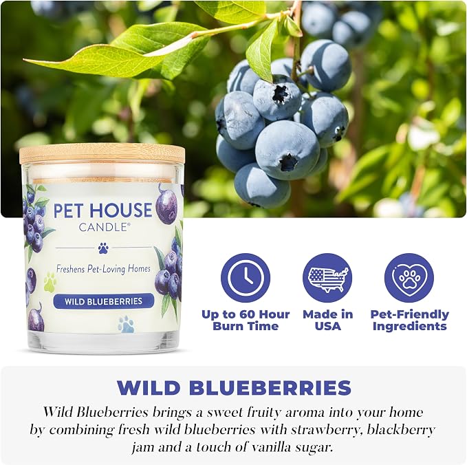 Pet House Candles, Natural Soy-Based, Clean Burning Pet Friendly Candles, 60 Hour Burn Time - Wild Blueberries, 9 oz, 2 Pack