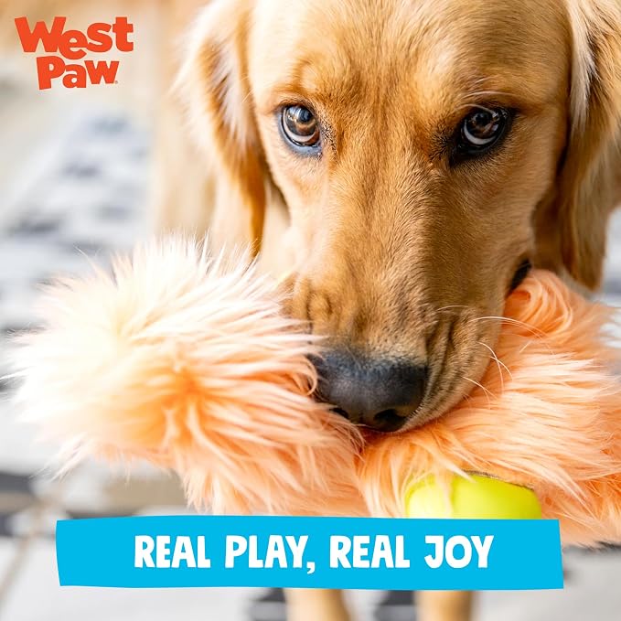 WEST PAW Rowdies Olaf Durable Plush Dog Toy with Reinforced HardyTex Fabric Hand Sewn Seams and Engaging Squeaker for Chewers and Cuddlers - Citrus