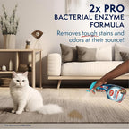 Simple Solution Extreme Stain & Odor Remover, Pee Cleaner, 32oz (Pack of 2) | Dog Stain & Odor Remover, Pet Urine Enzyme Cleaner, Dog Urine Carpet Cleaner, Pet Odor Eliminator, Carpet Stain Remover