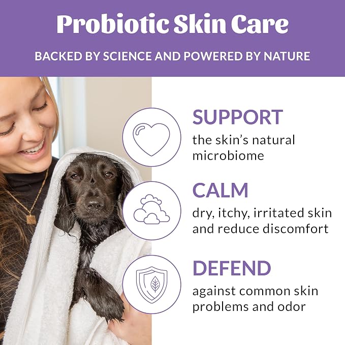 SKOUT'S HONOR Probiotic Dog Shampoo and Conditioner, 16 oz, 2-Pack | Natural 2-in-1 for Itchy Skin, Microbiome-Friendly with Avocado Oil & Omega-3s, Paraben & Sulfate-Free