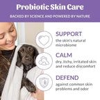SKOUT'S HONOR Probiotic Dog Shampoo and Conditioner, 16 oz, 2-Pack | Natural 2-in-1 for Itchy Skin, Microbiome-Friendly with Avocado Oil & Omega-3s, Paraben & Sulfate-Free