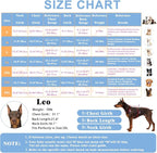 Large Dog Pajamas Pet Recovery Shirt Dog Pjs Cute Lightweight Stretchy Knit Pullover Large Dogs Pajamas Onesie for Small, Medium and Large Breeds (XX-Large (40-55lb), Blue Jellyfish)