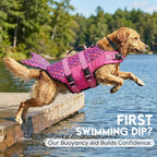 ASENKU Dog Life Jacket - Pet Safety Vest for Swimming & Boating, Shark Life Jacket with Floatation, Dog Lifesavers Swimsuits for Small Medium Large Dogs (Mermaid Pink, XL)