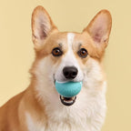 Playology Dog Toys | Squeaky Chew Ball for Dogs | Peanut Butter Scented Medium Dog Ball | Bouncy Floating Chew Toys for Fetch