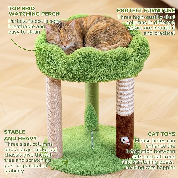 Woochpet 20" Small Cat Tree with 3 Scratching Posts and Perch Bed | Removable Washable Top Cover, Natural Sisal Rope, Compact Design, For Small Cats and Kittens