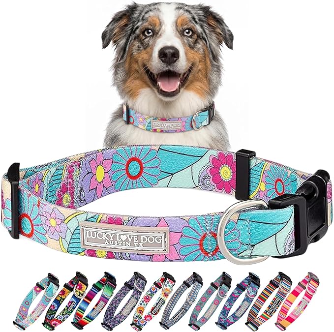 Lucky Love Dog Collars, Vivid Flower Pattern Dog Collars for Medium Female Dogs, Spring & Summer Floral Themed Print, Caroline, Medium