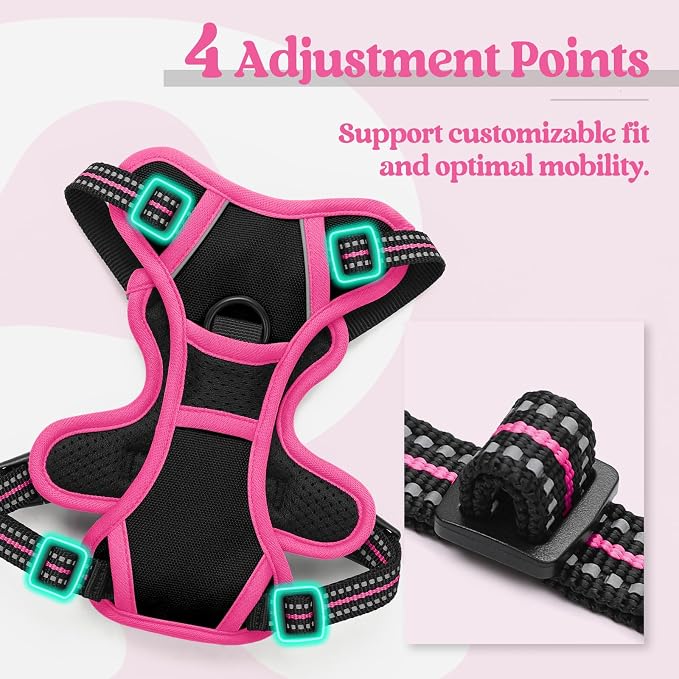rabbitgoo Dog Harness, No Pull for Small Dogs with 2 Leash Clips, Pet Vest | No Choke with Handle, Adjustable Soft Padded, Reflective, Easy Control for Walking, Black & Hot Pink, X-Small