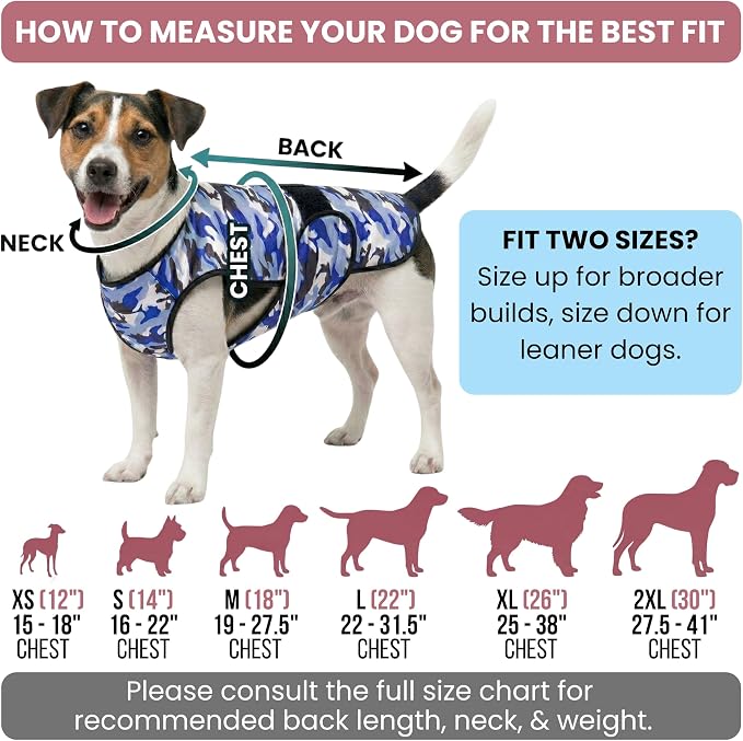 Dog Cooling Vest, 2-Layer Microfiber Cooling Jacket, Blue, M | Longer cooling duration, balanced comfort, UV protection, soft double-layer microfiber fabric, sizes to suit most dogs