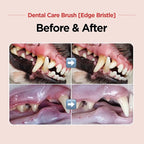 JAYU PET Dental Care Brush (Edge Bristles) 1ea - Micro Round Head Dog Toothbrush, Cat Toothbrush, Dental Care, Perfect for Kitten & Small Breed with End-tuft Diagonal-Shaped Bristle & Easy Grip Handle