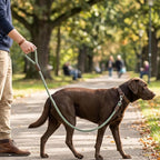 Mile High Life Dog Leash Braided Cotton Rope w/Leather-Wrapped Ends/Handle | Rust-proof 360° swivel clasp, Heavy-duty for medium/large breeds. Great for weddings, daily walks (6 FT, 1/2", Green)