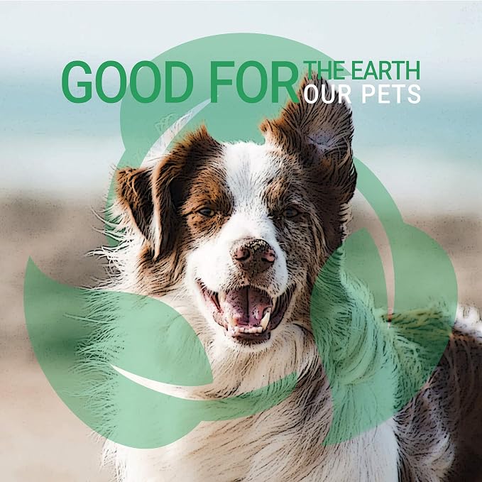 Green Groom White Dog Shampoo, Whitening and Brightening, Gentle, 1 Gallon | 32:1 Concentrate, Restores Light Coat Tones, Coconut Oil and Protein Condition Dry Coats, Pet Grooming Wash, Groomer Grade