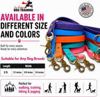 Gummy K9 Dog Leash, Biothane, Dog Training Leash, Made in The USA, 6 Feet, Various Sizes & Colors (5/8, Pink)
