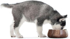 Sipworks Stainless Steel Dog Bowl – 32oz Weighted Metal Food and Water Bowls for Dogs and Cats with Non-Slip Base - Pet Bowls for All Breeds Sizes for Travel & Outdoor Play | OIive