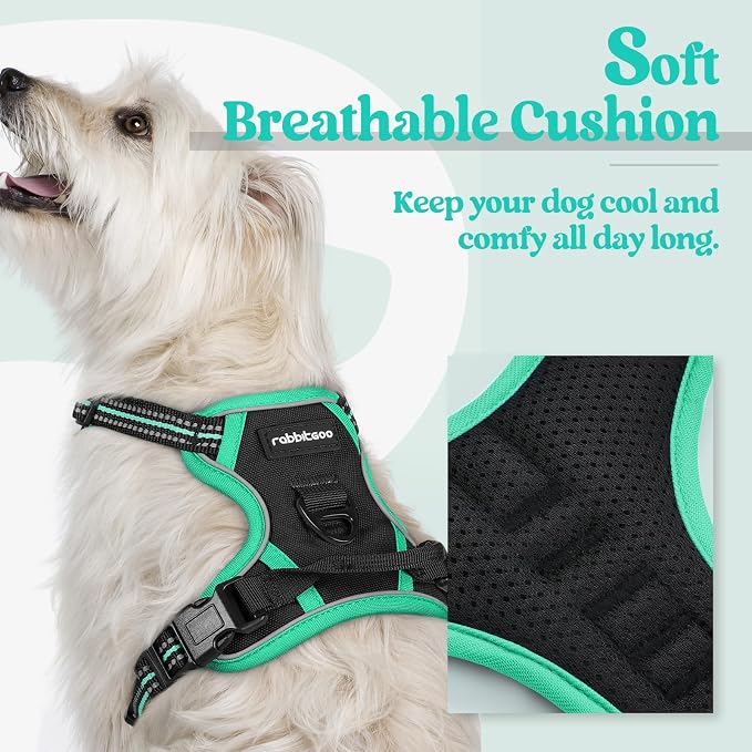 rabbitgoo Dog Harness, No Pull for Small Dogs with 2 Leash Clips, Pet Vest | No Choke with Handle, Adjustable Soft Padded, Reflective, Easy Control for Walking, Black & Turquoise, X-Small
