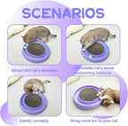 Interactive Cat Ball Track Toy for Indoor Cats, Cat Scratching Board & Exercise Set for Bored Indoor Adult and Kitten Mental & Physical Stimulation, with Spare Ball to Prevent Loss (Purple)