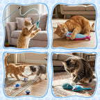Leitee 101 Pcs Cat Interactive Toys Set with 1 Cat Paw Gift Storage Bags Feather Teaser Wand Springs Mice Fish Crinkle Balls Bell Balls Pillow, Puzzle Toys for Cats Gift Indoor(Blue)