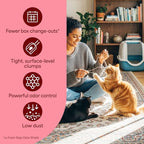 Fresh Step Advanced Ever Fresh Multi Cat Clumping Litter, Unscented Cat Litter, Ammonia Block Technology, Ultra Absorbent, 16 lb. Box, Pack of 2 | Ultra Absorbent to Last Longer, Unscented, Lowest Dust Formula, Compatible with Most Auto Litter Boxes
