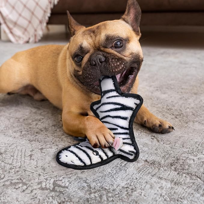 SHARLOVY No Stuffing Dog Toys Crinkle Squeaky, Long Lasting Chews for Aggressive, Durable Plush Dog Puppy Chew Toys for Teething, with 6 Tough Layers for Small Medium Large Breed-2 Pack,Small