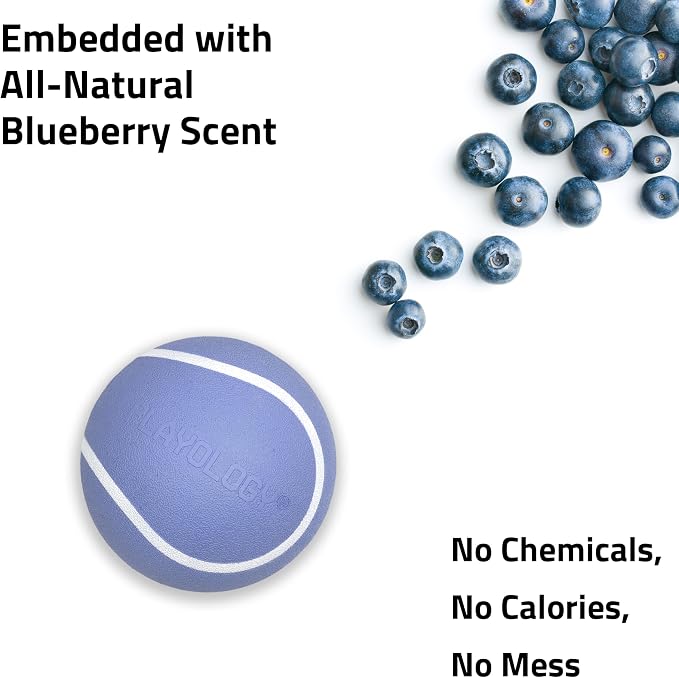 Playology Dog Toys | Squeaky Chew Ball for Dogs, Value 3-Pack | Blueberry Scented Small Dog Balls | Bouncy Floating Chew Toys for Fetch