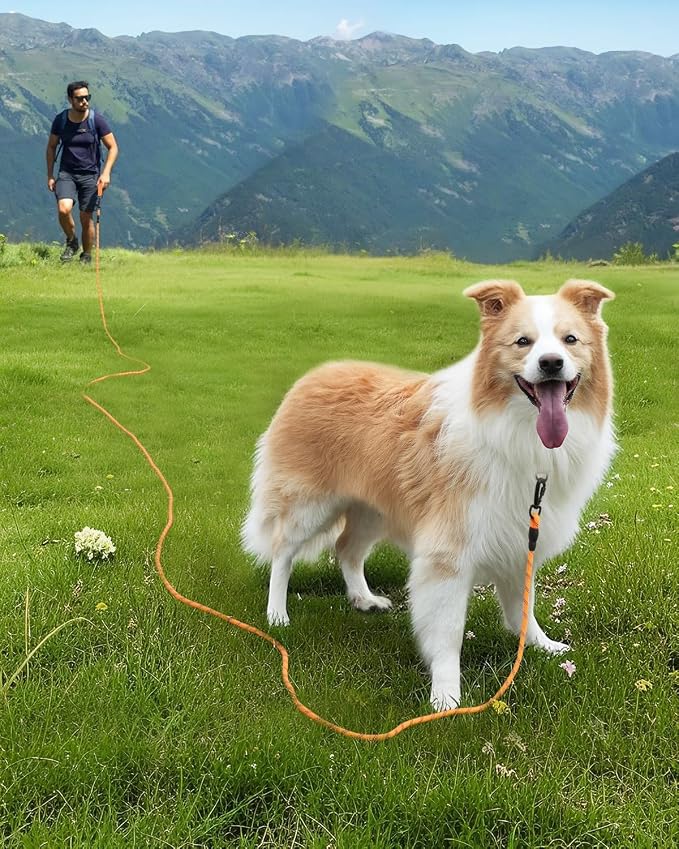 Joytale Long Dog Leash for Yard Tie Out & Recall Training, Orange, 50FT | Secure Locking Carabiner, Removable Padded Handle, Reflective Webbing for Night Safety, Ideal for Outdoor Play and Camping